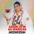 Ameeran Begam