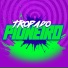 DJ Dayvid mega