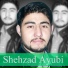 Shehzad Ayubi