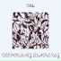 SCHKING DAPLUG