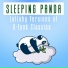 Sleeping Panda