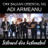 Adi Armeanu feat. Ork Balkan Oriental NG