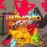 Harmoniq