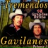 Los Tremendos Gavilanes