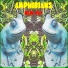 Amphibians