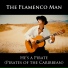 The Flamenco Man