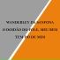 Wanderley da Sanfona