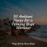 Wellness, Relajación, Deep Sleep Relaxation
