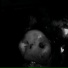 Murder at Midnight