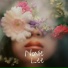 Nonie Lee