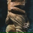 Jeff Waters
