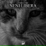 Zubelube