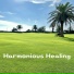 Harmonious Healing