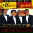 Amigos de Gines