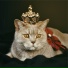 Cat Music, RelaxMyCat, Pet Care Music Therapy