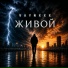 VAYNXXX