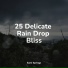 Sleeping Music, Lush Rain Creators, Big Sounds