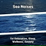 Sea Waves Sounds, Ocean Sounds, Nature Sounds