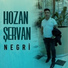 Hozan Şervan