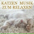 Entspannung für Katzen