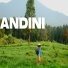 ANDINI