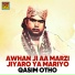 Qasim Otho