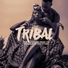 Native American Music Consort