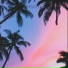 Paradive