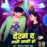 Vikash Pandey Baba