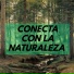 Meditacion ambiental