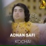 Adnan Safi