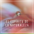 Sol De Día