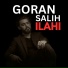 Goran Salih