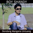 Boy Shandy