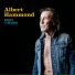 Albert Hammond