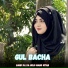 Gul Bacha