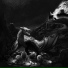 forestdump