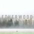 Etherwood feat. Anile