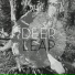 Deer Leap