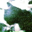 eddo