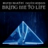 Bruno Martini, David Hodges