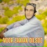 Noor Zaman dilSoz