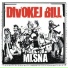 Divokej Bill (Чехия)