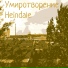 Heindale