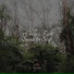 Sleeping Music, Loopable Rain, Studying Music