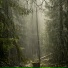 Andrey Filippov, Звуки сна Окружающие Шумы