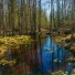 DMITRY VITALEVICH