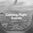 Airplane White Noise