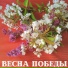 Александр Соколенко
