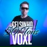 Celsinho Voxl